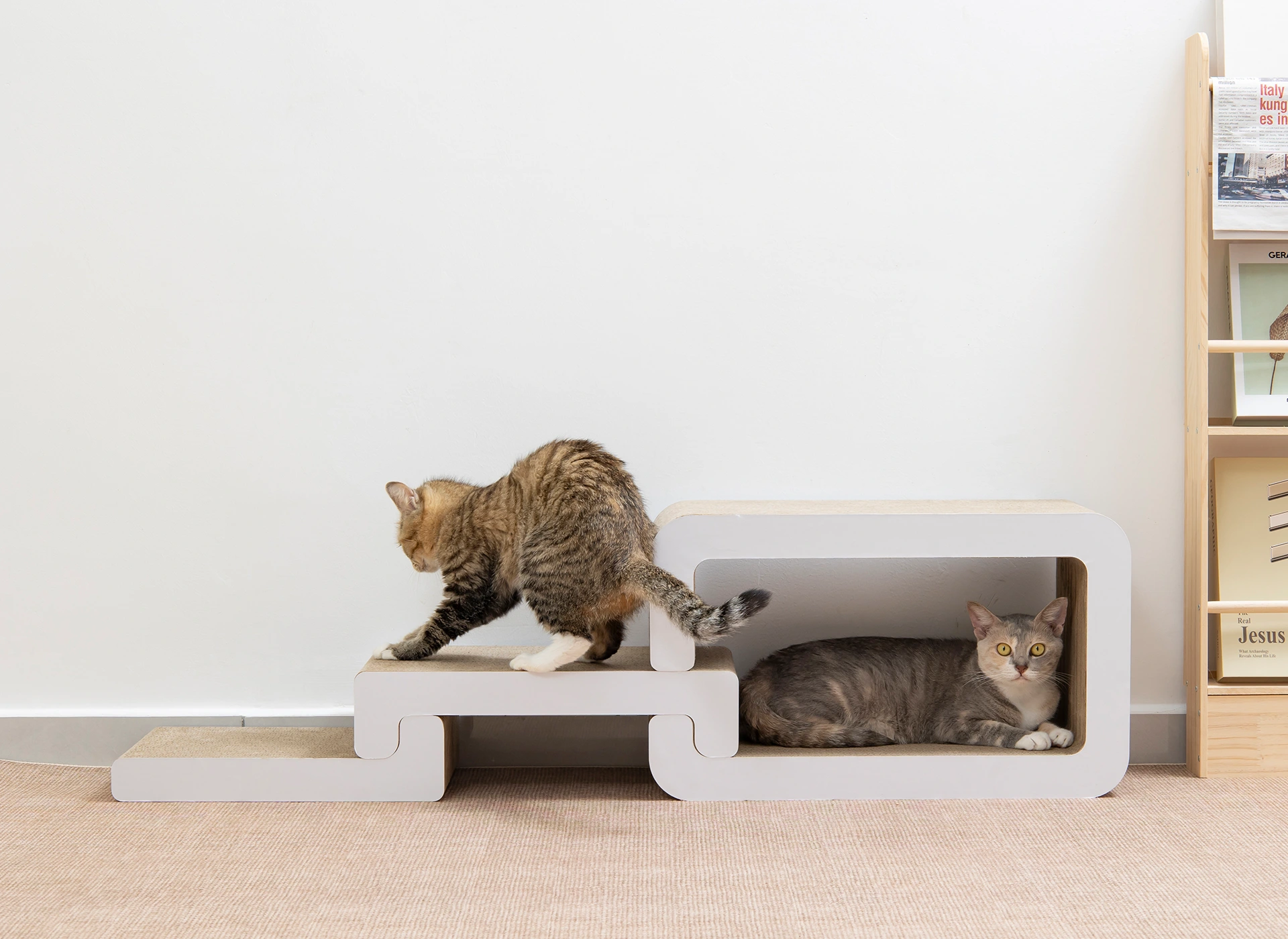 Cat Scratcher Set